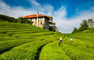  Süper Promosyon Karadeniz ve Batum Turu (3 Gece Otel Konaklamalı)